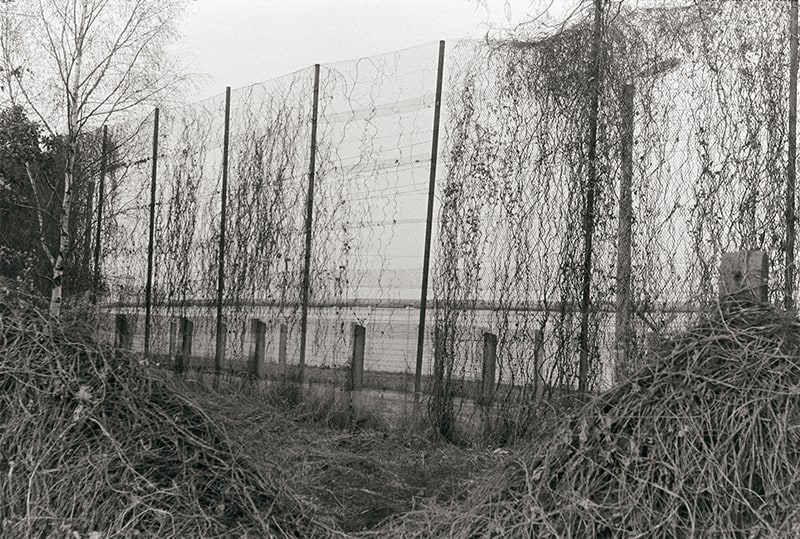 An einem auf sechs Meter erhöhten Abschnitt des Hinterlandzaunes bei Schloss Cecilienhof sollten Kletterpflanzen die Sicht auf die Grenzanlagen verdecken (1989)