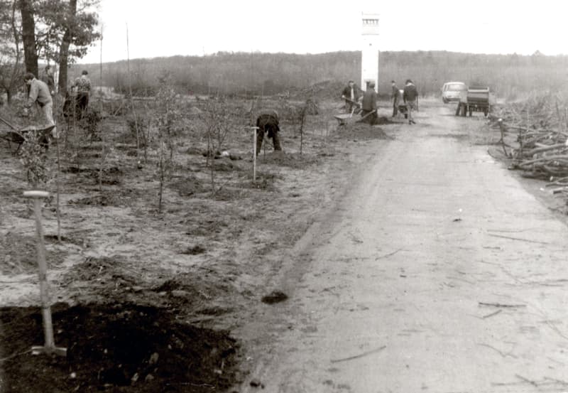 Im ehemaligen Grenzstreifen wurden rund 17.500 Bäume und Sträucher zur Wiederherstellung der Parkanlagen gepflanzt (1991) - Foto: SPSG/ Gerd Schurig
